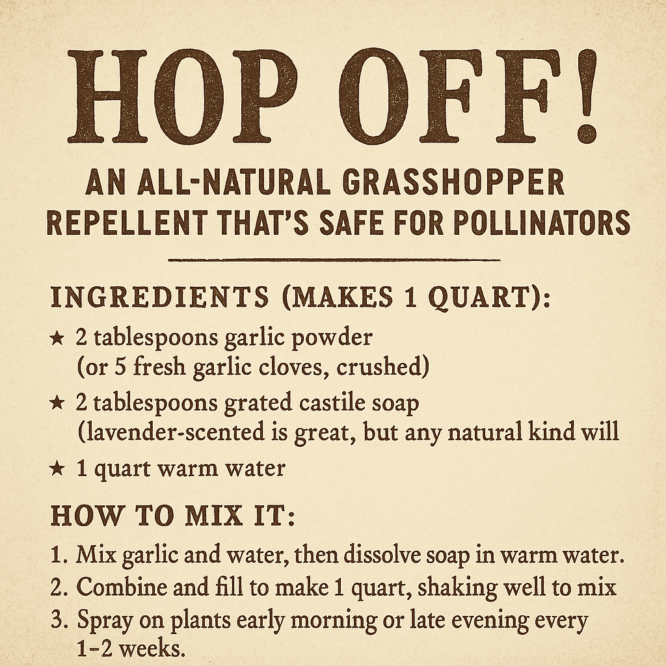 Vintage-style sepia-toned graphic titled 'Hop Off!' with instructions for making an all-natural grasshopper repellent. Includes ingredients and step-by-step directions in bold, serif fonts.